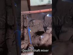 Double shaft mixer