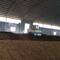 Chicken Dung Organic Fertilizer Production Plant 5t/H 75kw