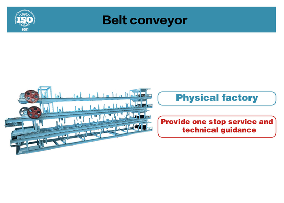Customizable Belt Conveyor for Mining and Manufacturing